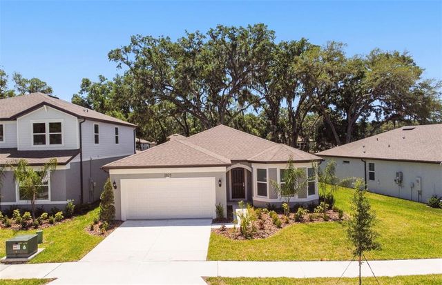 2825 Dolores Home Ave, Valrico, FL 33594