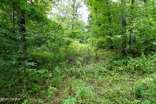 1124 Lick Creek Boat Dock Loop, Parsons, TN 38363