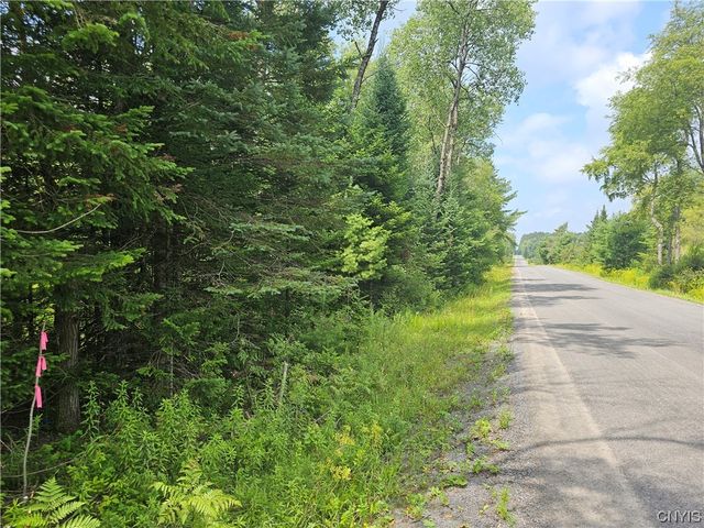 Pardeeville Rd   #1, Cold Brook, NY 13324