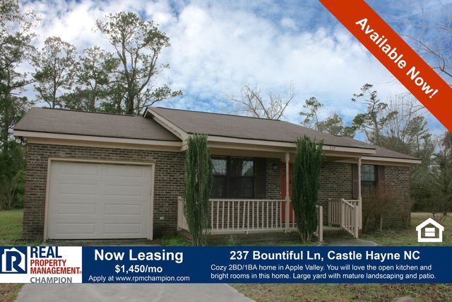 237 Bountiful Ln, Castle Hayne, NC 28429