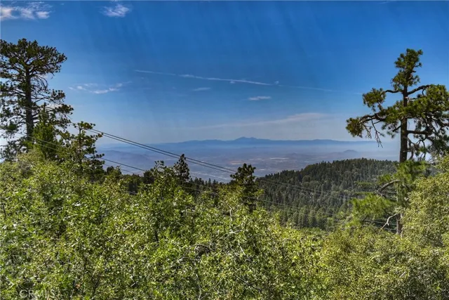 25515 True Ln, Twin Peaks, CA 92391