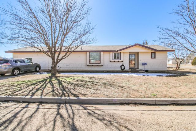 S  501st Ave E, Farwell, TX 79325