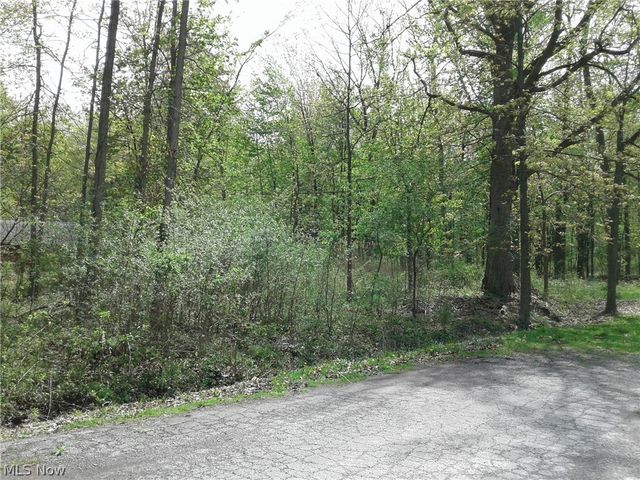 Kenilworth Ave, Sheffield lake, OH 44054