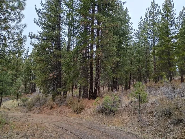 E  Pine Ave, Chiloquin, OR 97624
