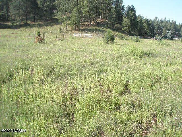 3090 Happy Trails Dr, Flagstaff, AZ 86005
