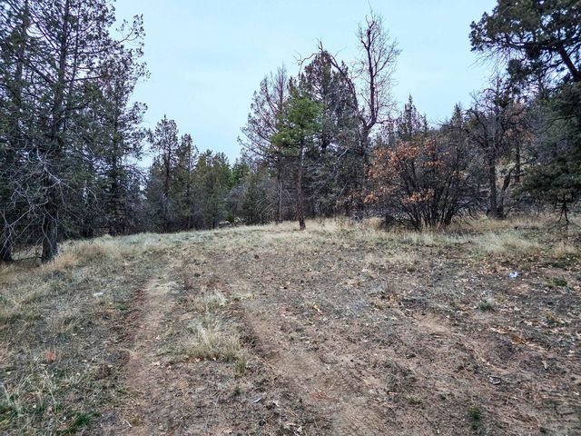 Log House Rd, Macdoel, CA 96058