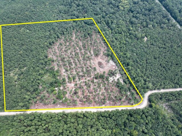 22 Boontown Rd, Groveton, TX 75845