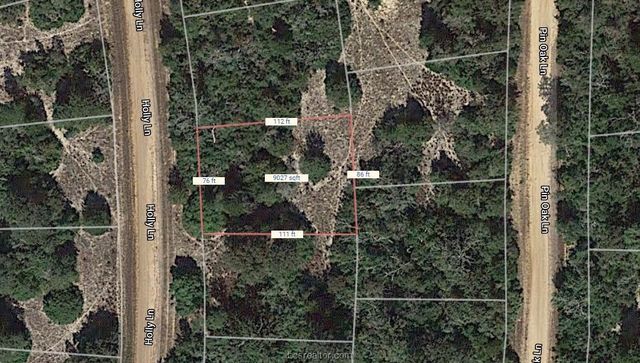 Lot 16 Holly, Normangee, TX 77871