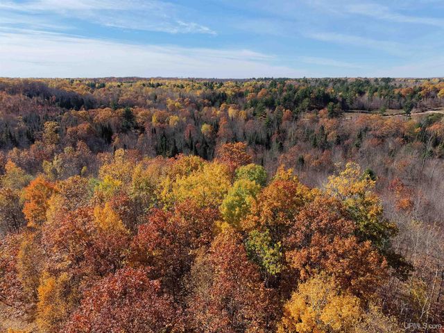 Youngs Rd, Gwinn, MI 49841
