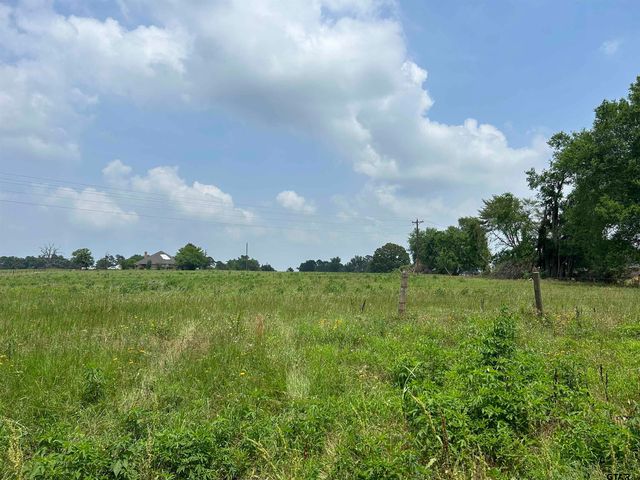 LOT County Road 2166, Troup, TX 75789