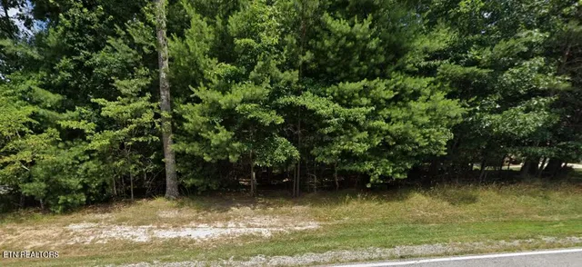 184 Forest View Dr, Fairfield Glade, TN 38558