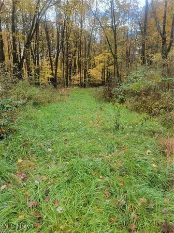 Schaen Dr, Andover, OH 44003