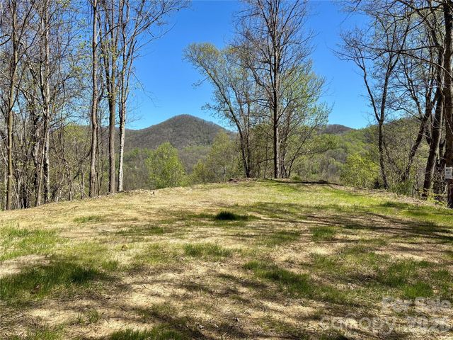 W  Lot Meadow Fork Rd, Hot Springs, NC 28743