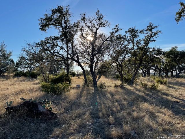 10083 S Texas Highway 55, Rocksprings, TX 78880