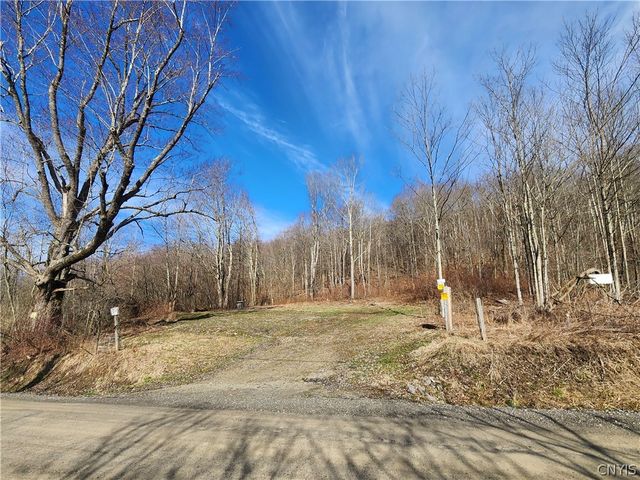 179 Texas Hill Rd, Georgetown, NY 13072