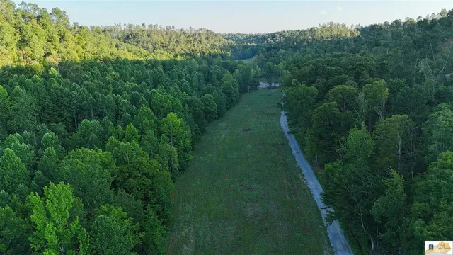2405 Barney School Rd #3, Campbellsville, KY 42718