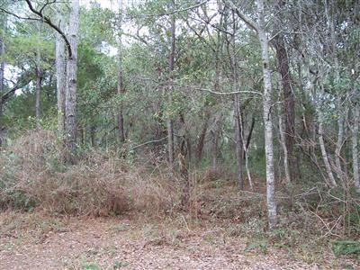 55 Fort Holmes Trail LOT 713, Southport, NC 28461