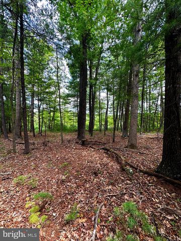 Lot 107 Mossy Oaks Rd, Yellow Spring, WV 26865