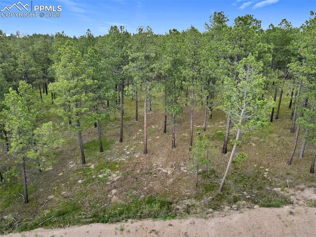14983 Bourbon Ct, Colorado Springs, CO 80908
