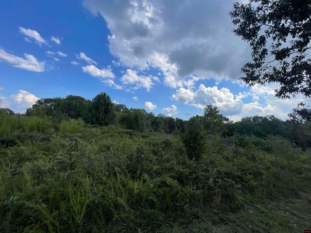 Lot 5 Highway 201 N, Mountain Home, AR 72653