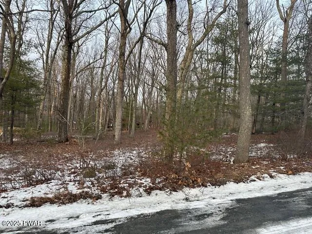 Lot 6 Sagamore Rd, Shohola, PA 18458