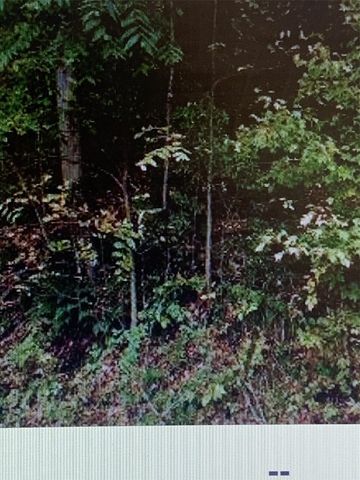 304 Woodside Ave, Conklin, NY 13903