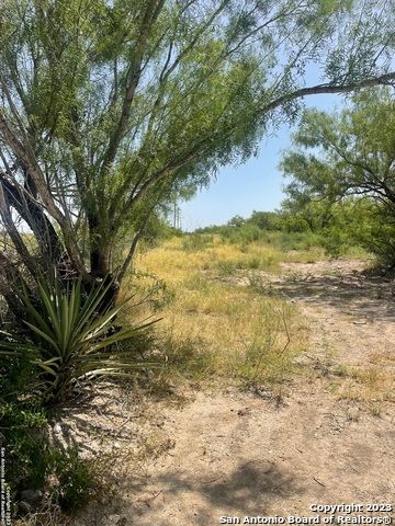 0 Zaragosa LOT LAND, Crystal City, TX 78839