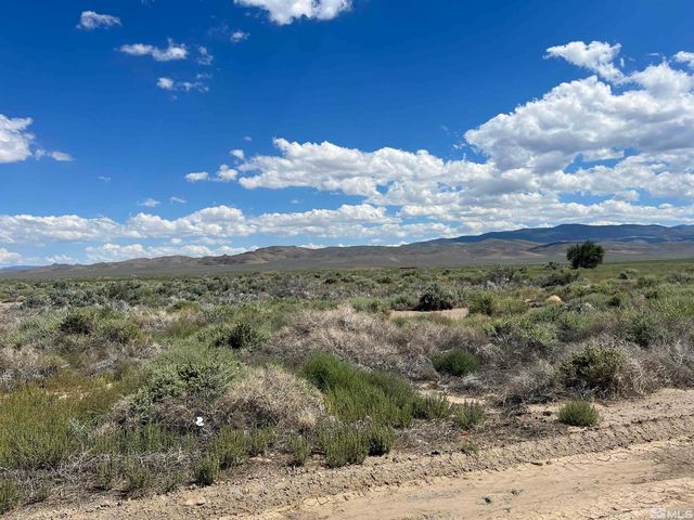 436 State Route 338, Wellington, NV 89444