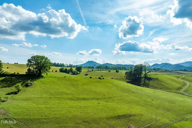 Stout Branch Rd, Mountain City, TN 37683
