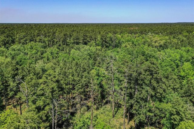 County Road 4200, Pennington, TX 75856