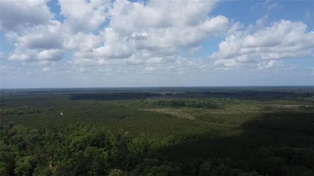26341 S  Satsuma Rd, Livingston, LA 70754