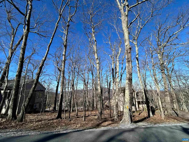 421 Blackrock Dr, Roseland, VA 22967