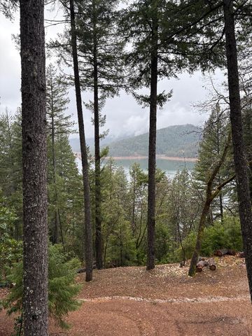 480 Rattlesnake Way, Trinity Center, CA 96091