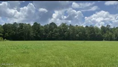 2697 River Rd, Silver Creek, MS 39663