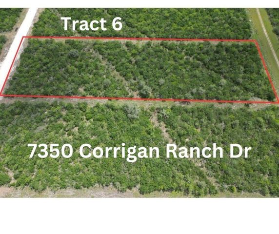 7350 Corrigan Ranch Dr   #6, Skidmore, TX 78389