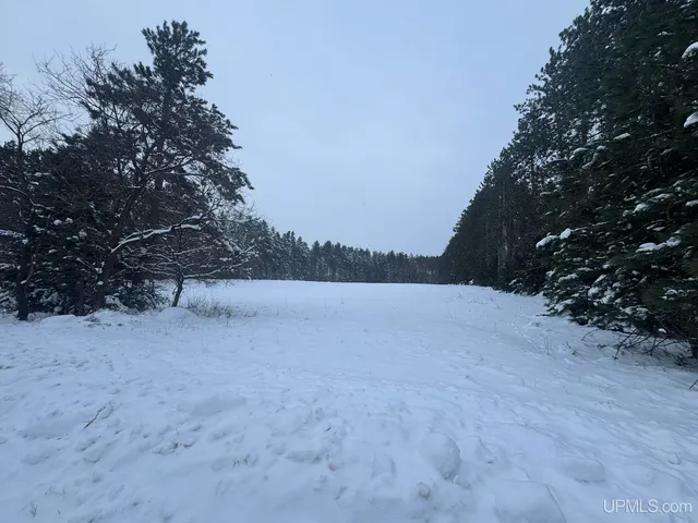 Treves Farm Rd, Norway, MI 49870