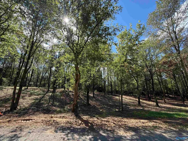 12B County Road 1123, Vinemont, AL 35179