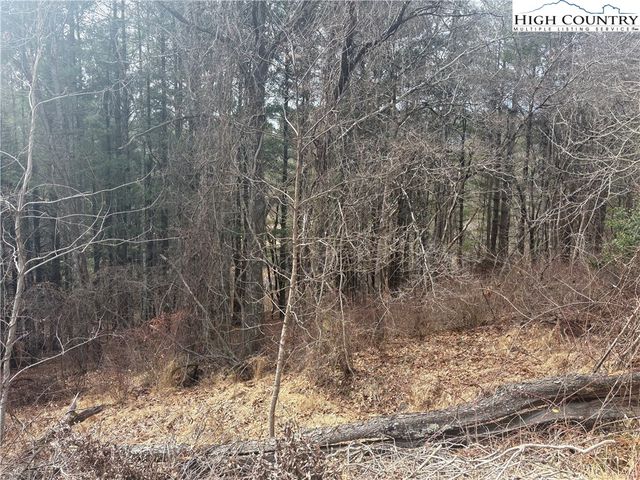 TBD 6-K River Run Lane, Sparta, NC 28675