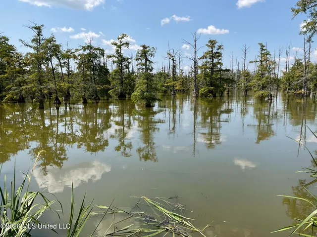 314 Lake Washington Rd E, Glen Allan, MS 38744