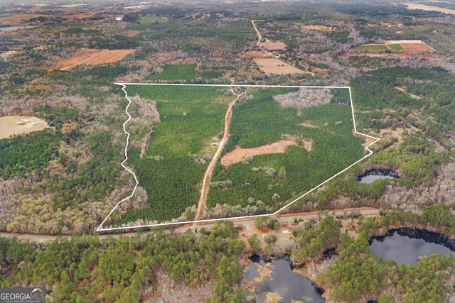 Jacob Wilkinson Cir, Claxton, GA 30417
