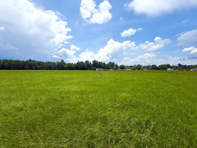 Alpine Trl, Willacoochee, GA 31650