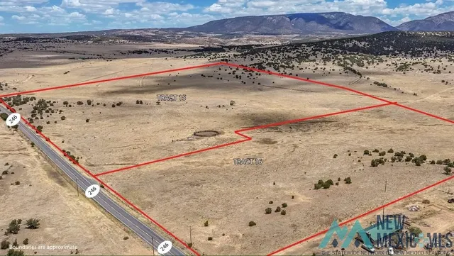 N  246th, Capitan, NM 88316