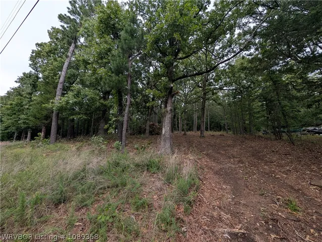 29532 S  548th Rd, Cookson, OK 74427