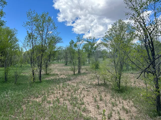 412 S  Grand Ave, Las Vegas, NM 87701