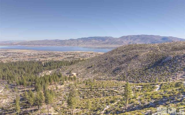 7300 Pine Canyon Rd, Washoe Valley, NV 89704