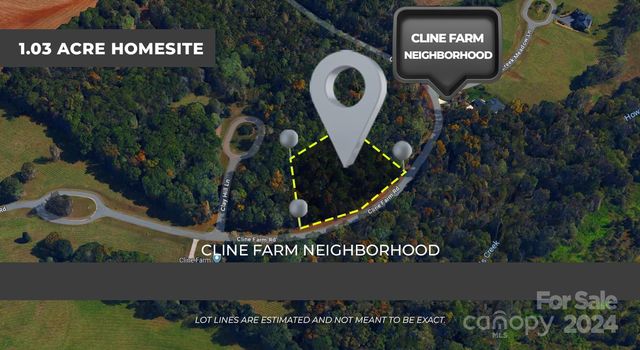 Lot 9 Cline Farm Rd, Lincolnton, NC 28092