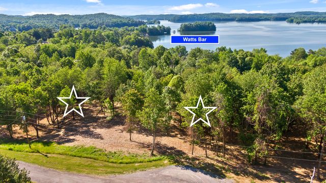 Lot 11 Piney View Dr, Spring City, TN 37381
