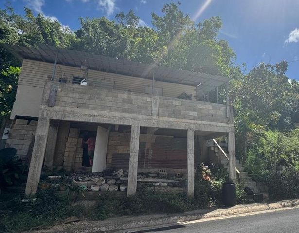 Calle 7 Buzon #4, Barceloneta, PR 00617