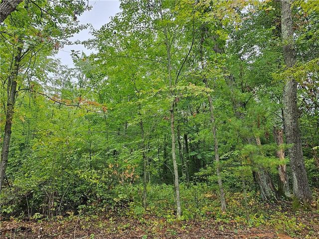 Lot 2 Maria's Way, Webster, WI 54893