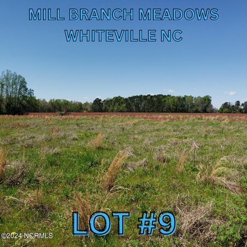 96 Mill Branch Drive LOT 9, Whiteville, NC 28472